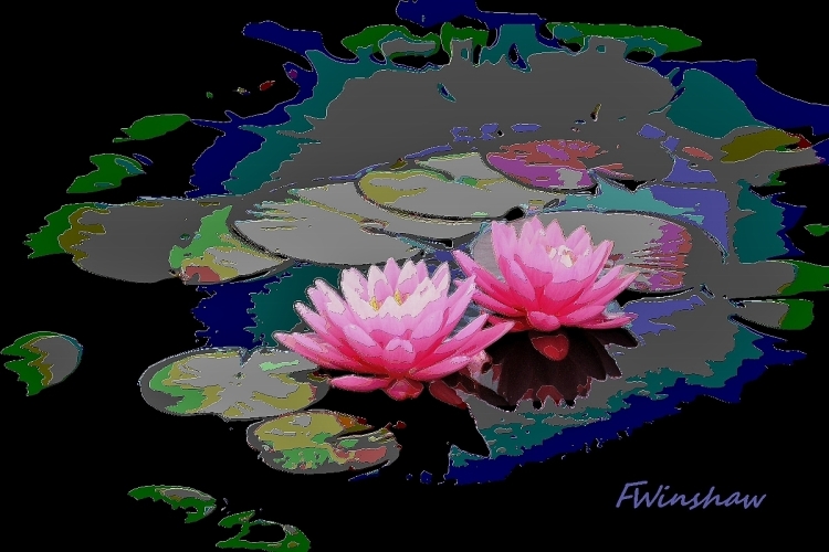 Water Lilies – 1